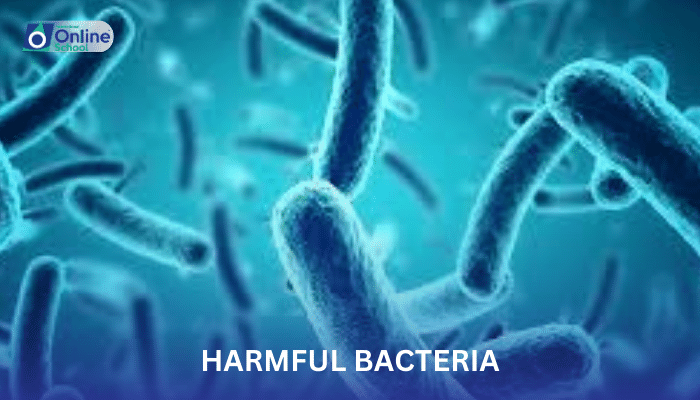 Lesson 13: Controlling Harmful Bacteria